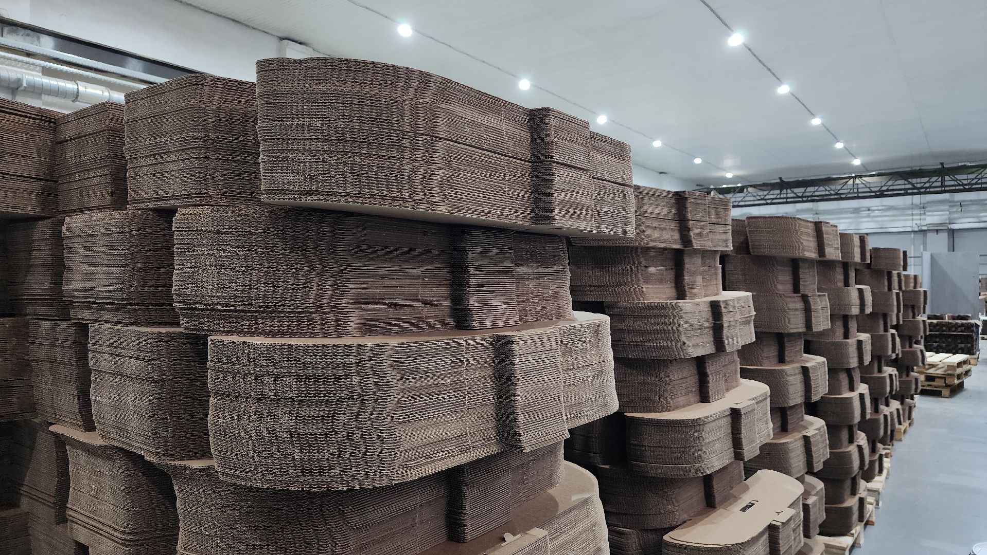 экономика, молодые специалисты, предприятие, Лосино-Петровский,