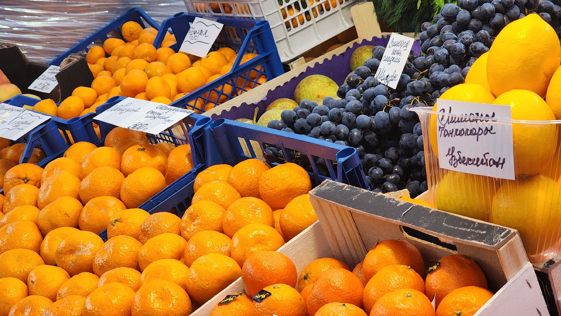 солнечногорск, вертикалки, ярмарка, товары народов россии, советская площадь,