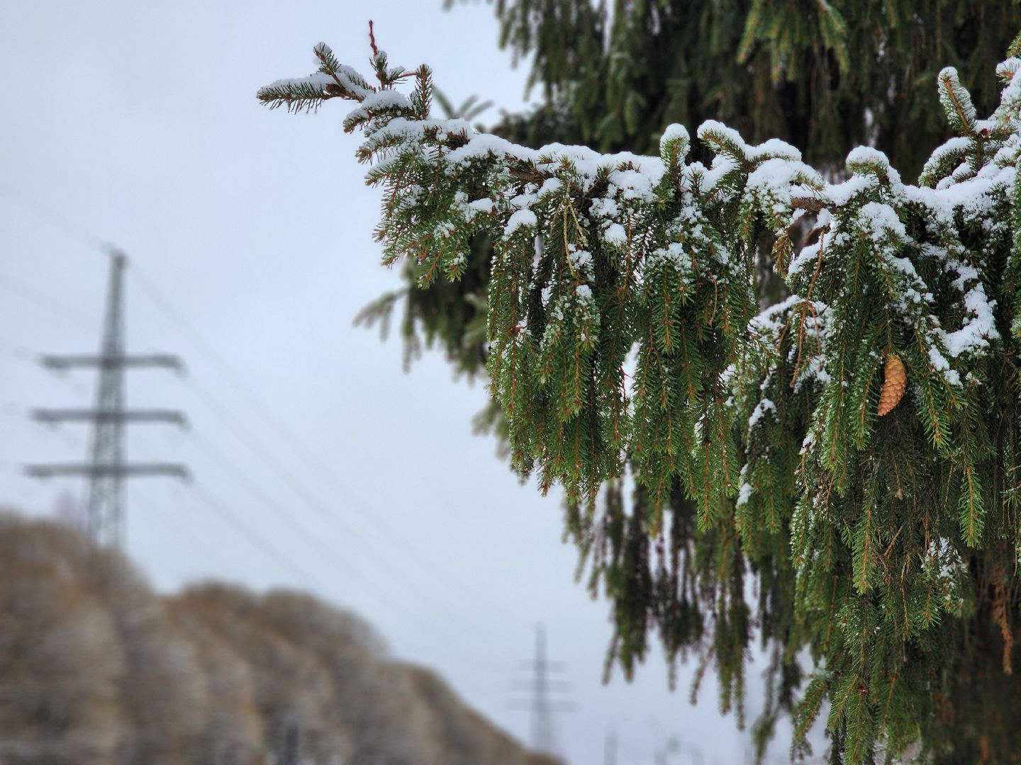 красноармейск, городской округ пушкинский, погода, снегопад, вертикалки,