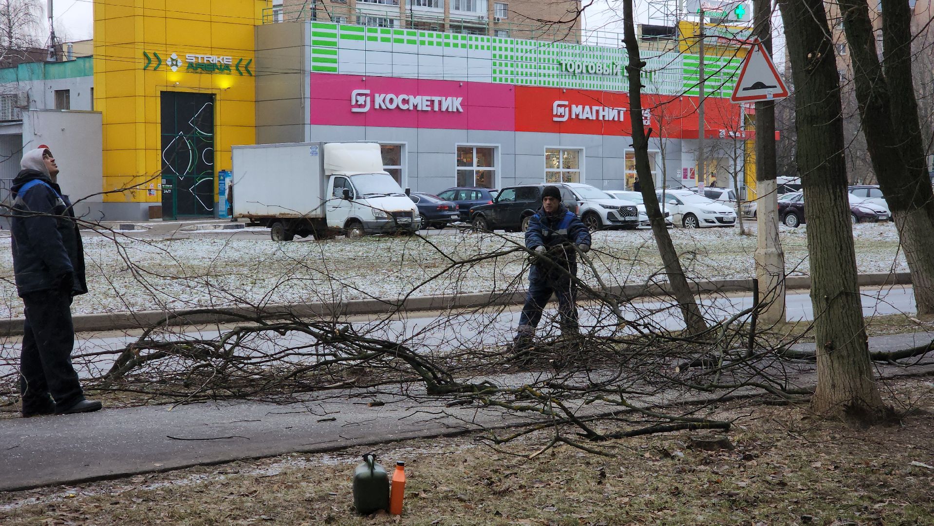 ступино, благоустройство 2025, санитарная обрезка деревьев,