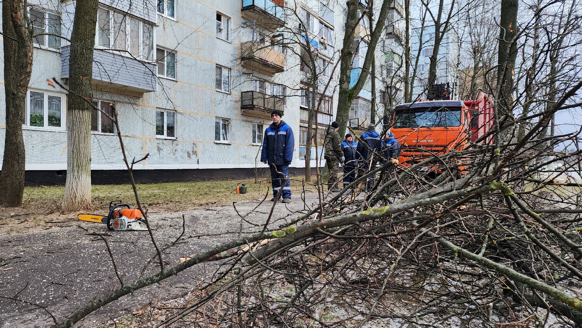 ступино, благоустройство 2025, санитарная обрезка деревьев,