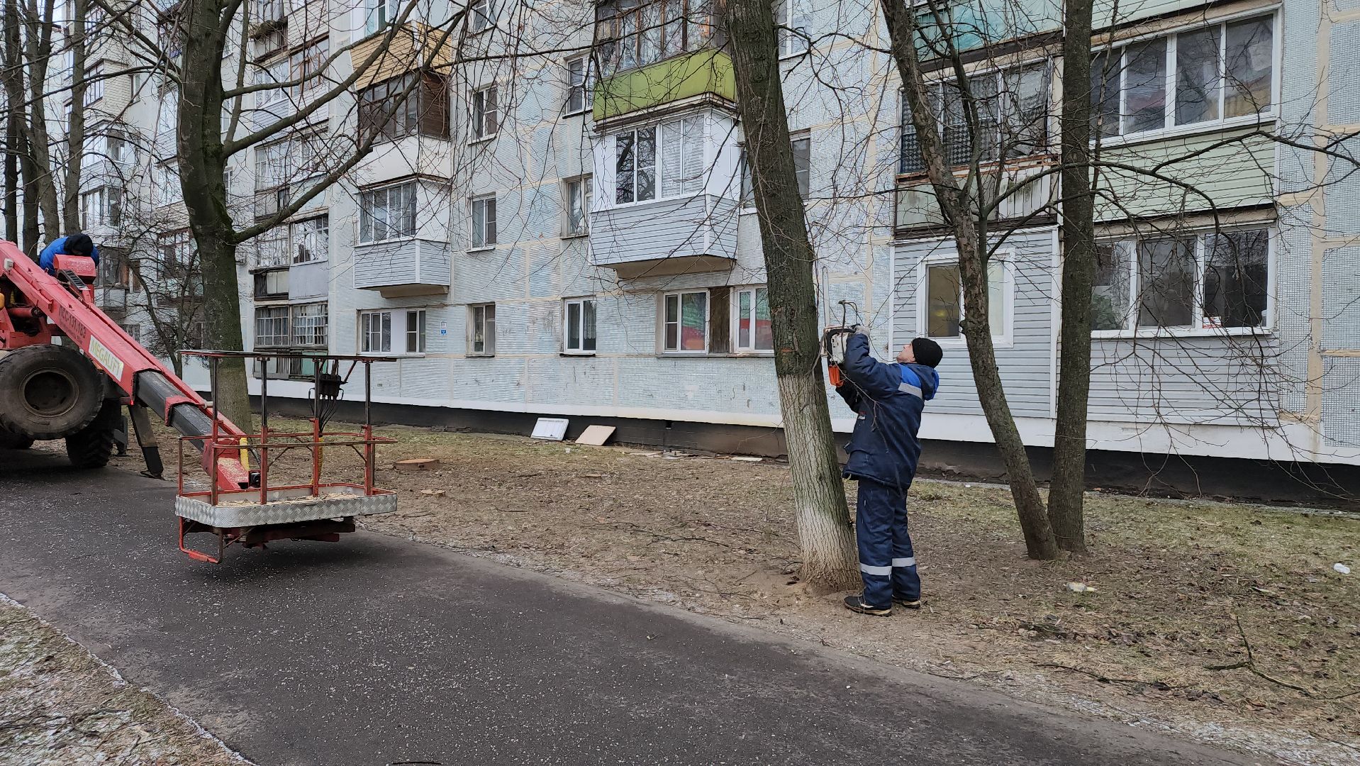 ступино, благоустройство 2025, санитарная обрезка деревьев,