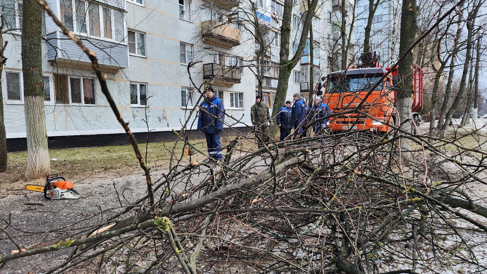 ступино, благоустройство 2025, санитарная обрезка деревьев,