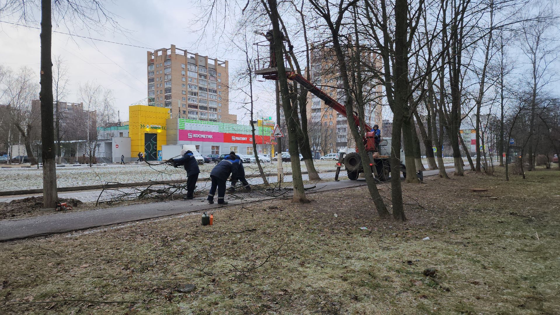 ступино, благоустройство 2025, санитарная обрезка деревьев,