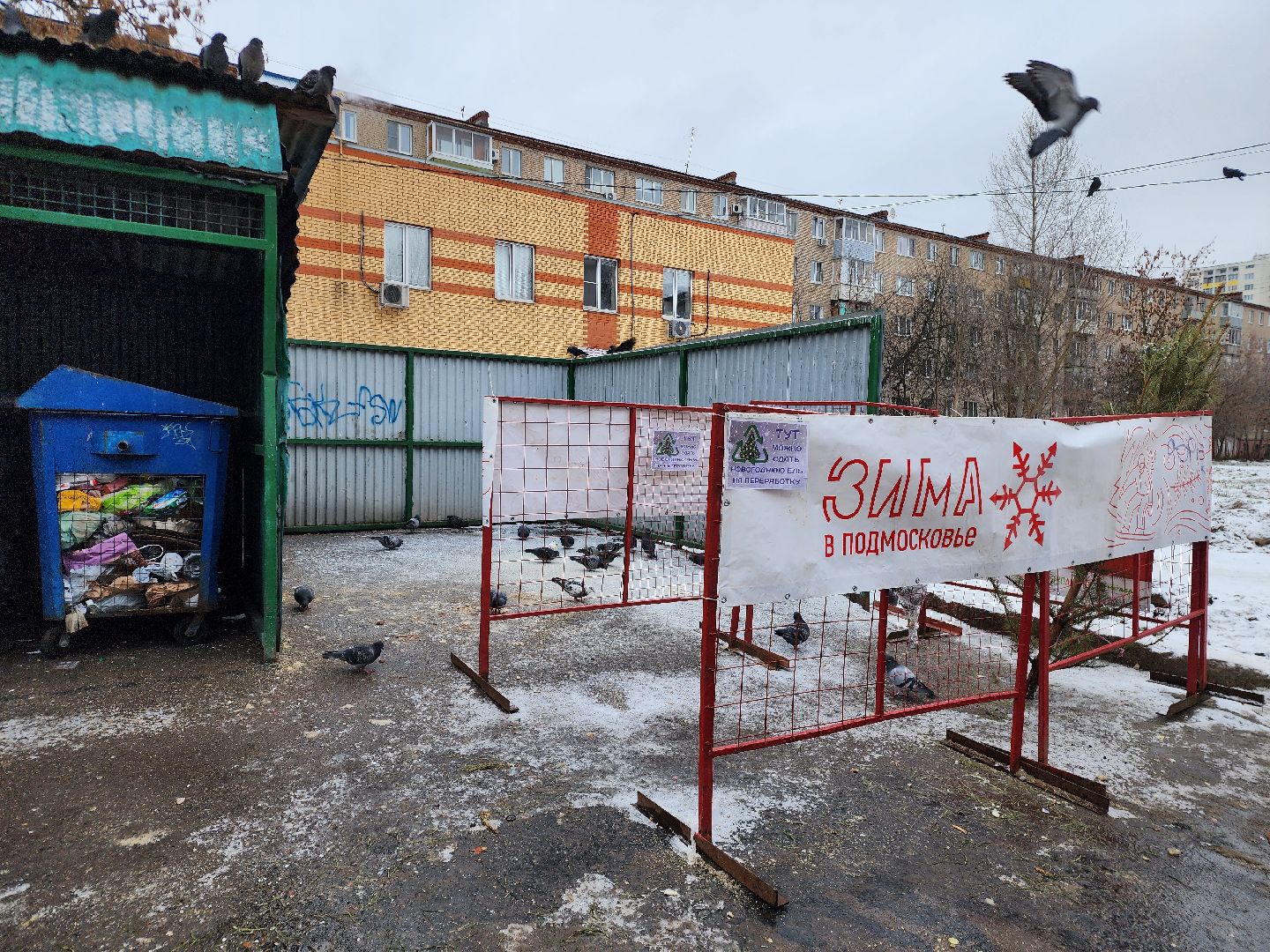 фрязино, елки, переработка, экология, утилизация елей, вертикалки,