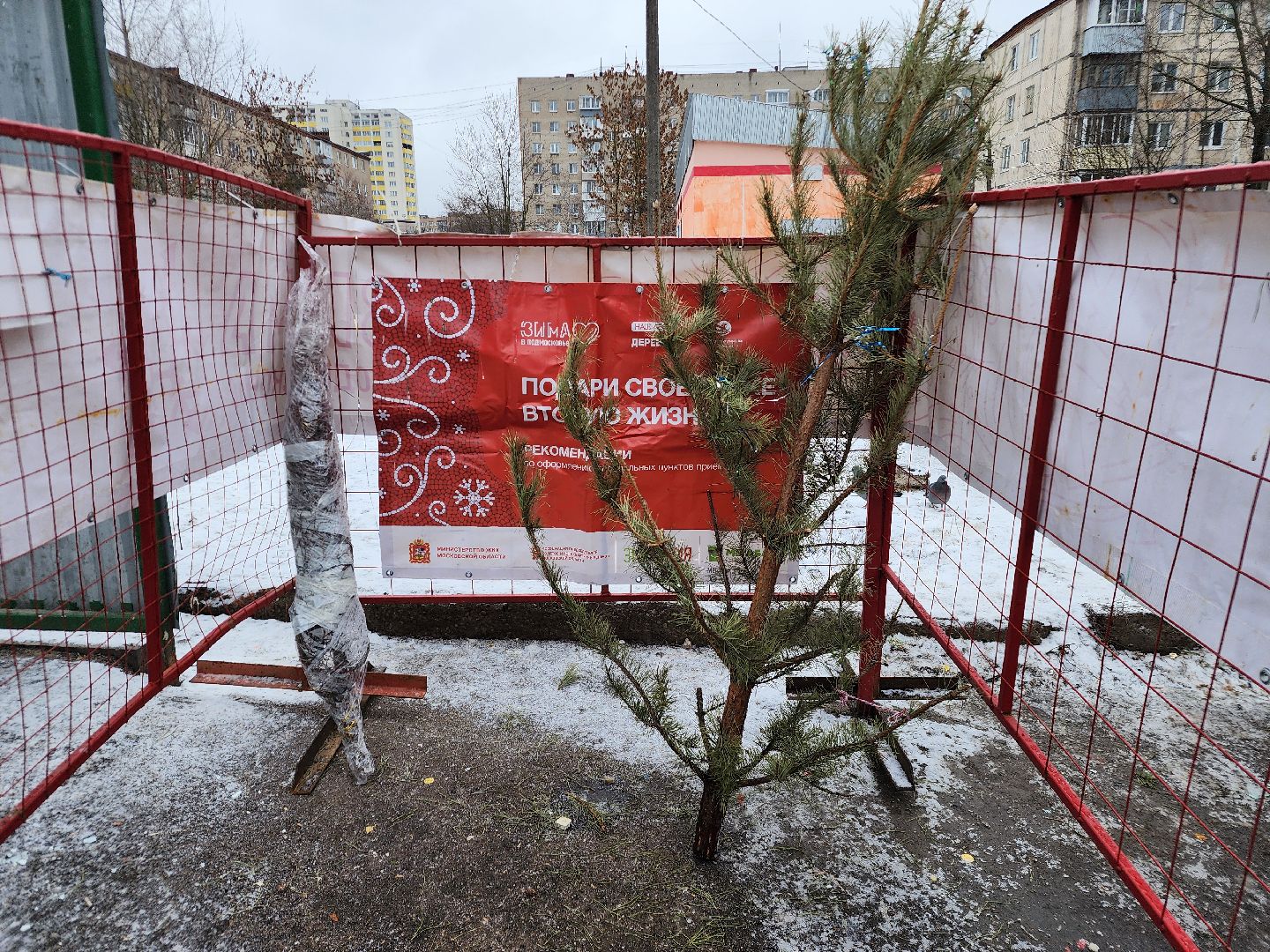 фрязино, елки, переработка, экология, утилизация елей, вертикалки,