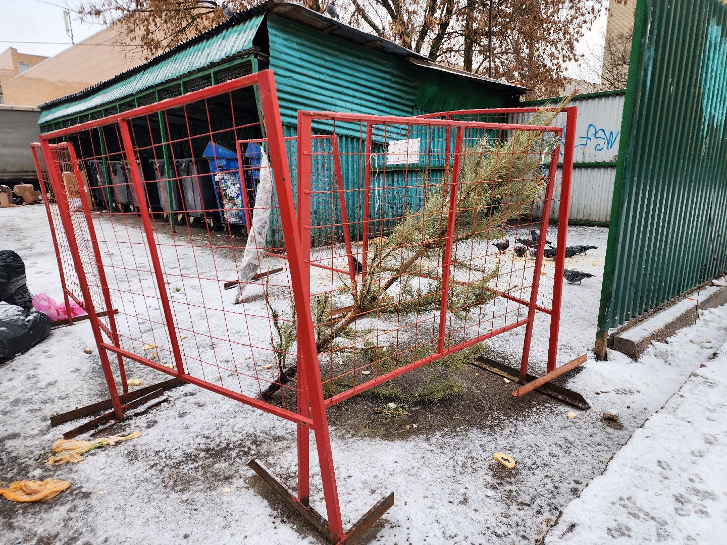 фрязино, елки, переработка, экология, утилизация елей, вертикалки,