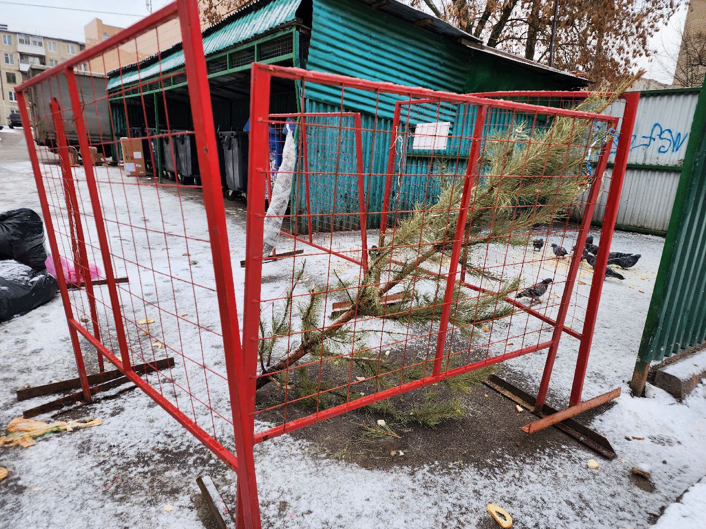 фрязино, елки, переработка, экология, утилизация елей, вертикалки,