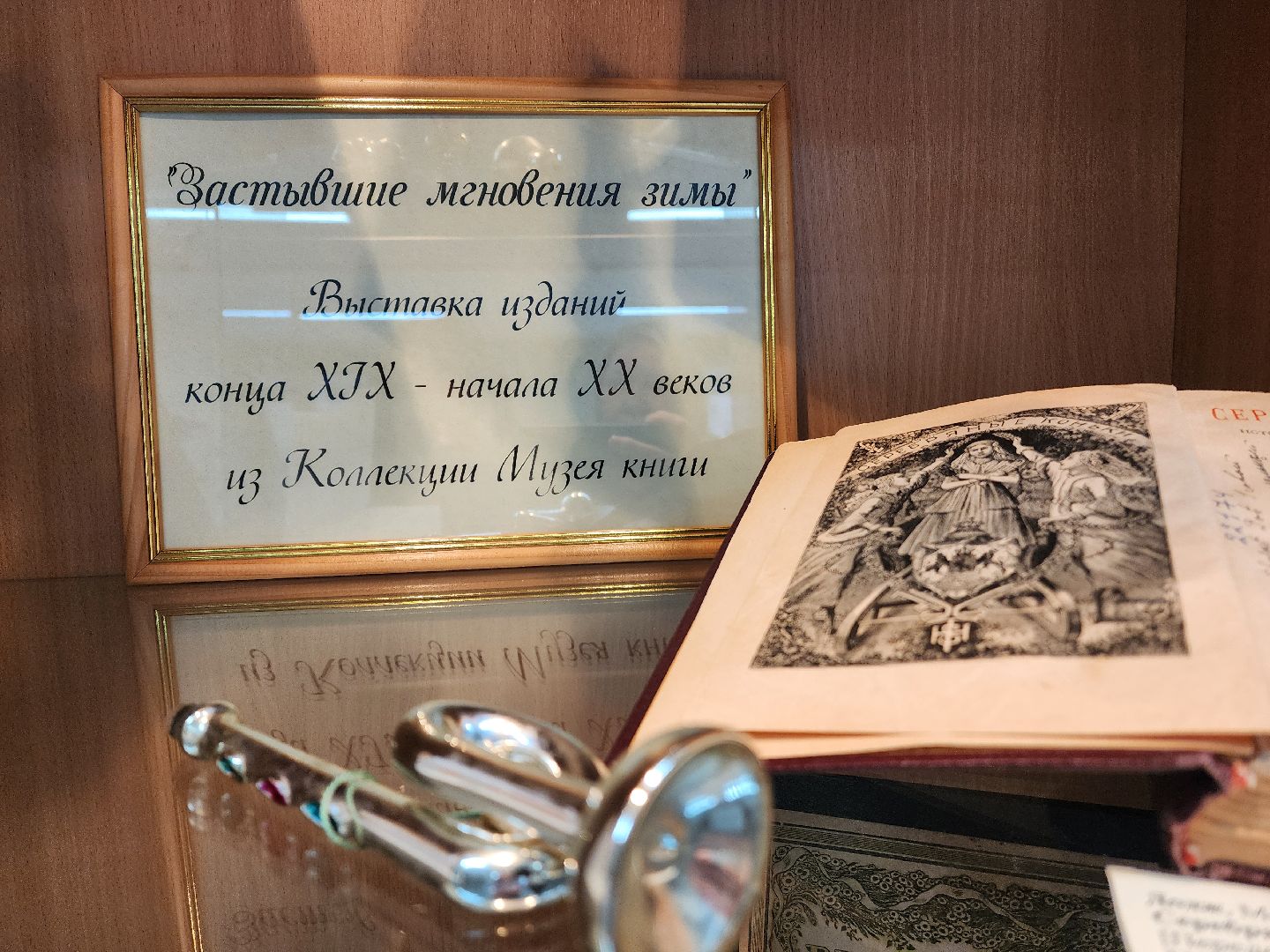 красноармейск, городской округ пушкинский, музей книги, библиотека, древние книги,