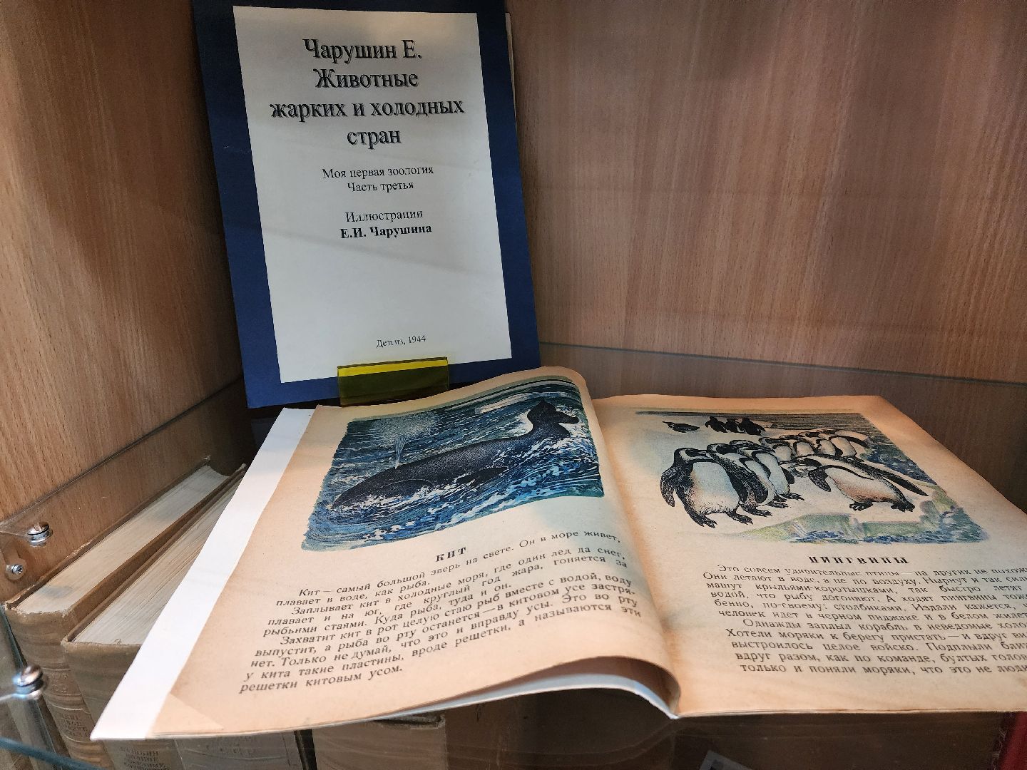 красноармейск, городской округ пушкинский, музей книги, библиотека, древние книги,