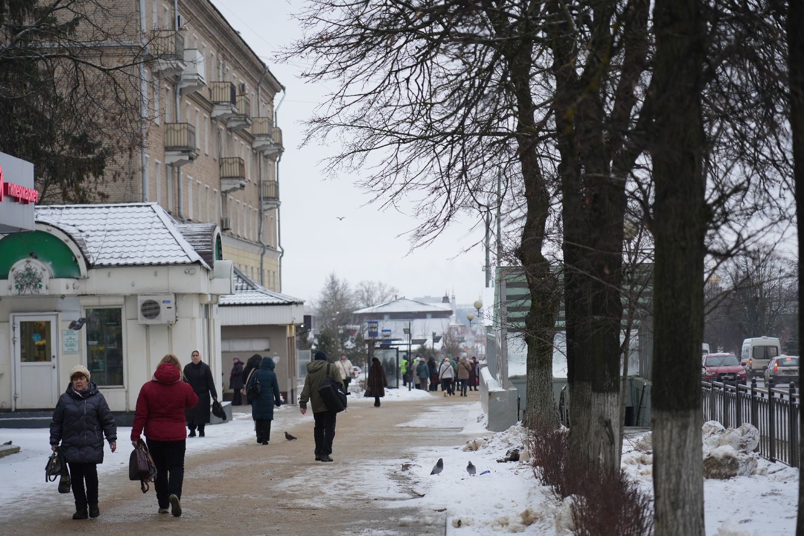 погода, крещение, сергиев посад, потепление, сергиево-посадский округ природа,