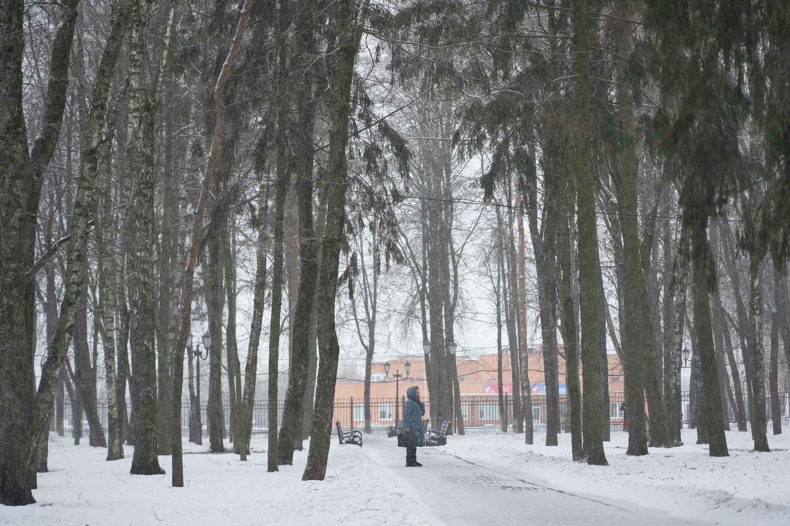 погода, крещение, сергиев посад, потепление, сергиево-посадский округ природа,