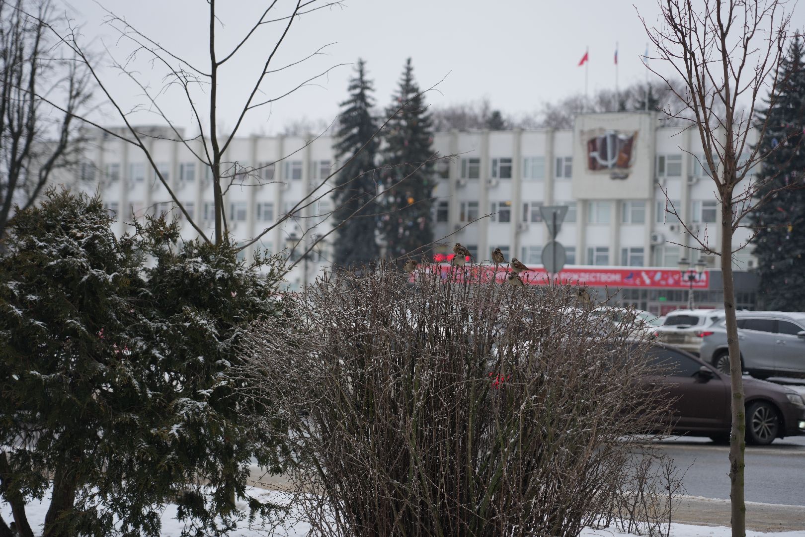 погода, крещение, сергиев посад, потепление, сергиево-посадский округ природа,