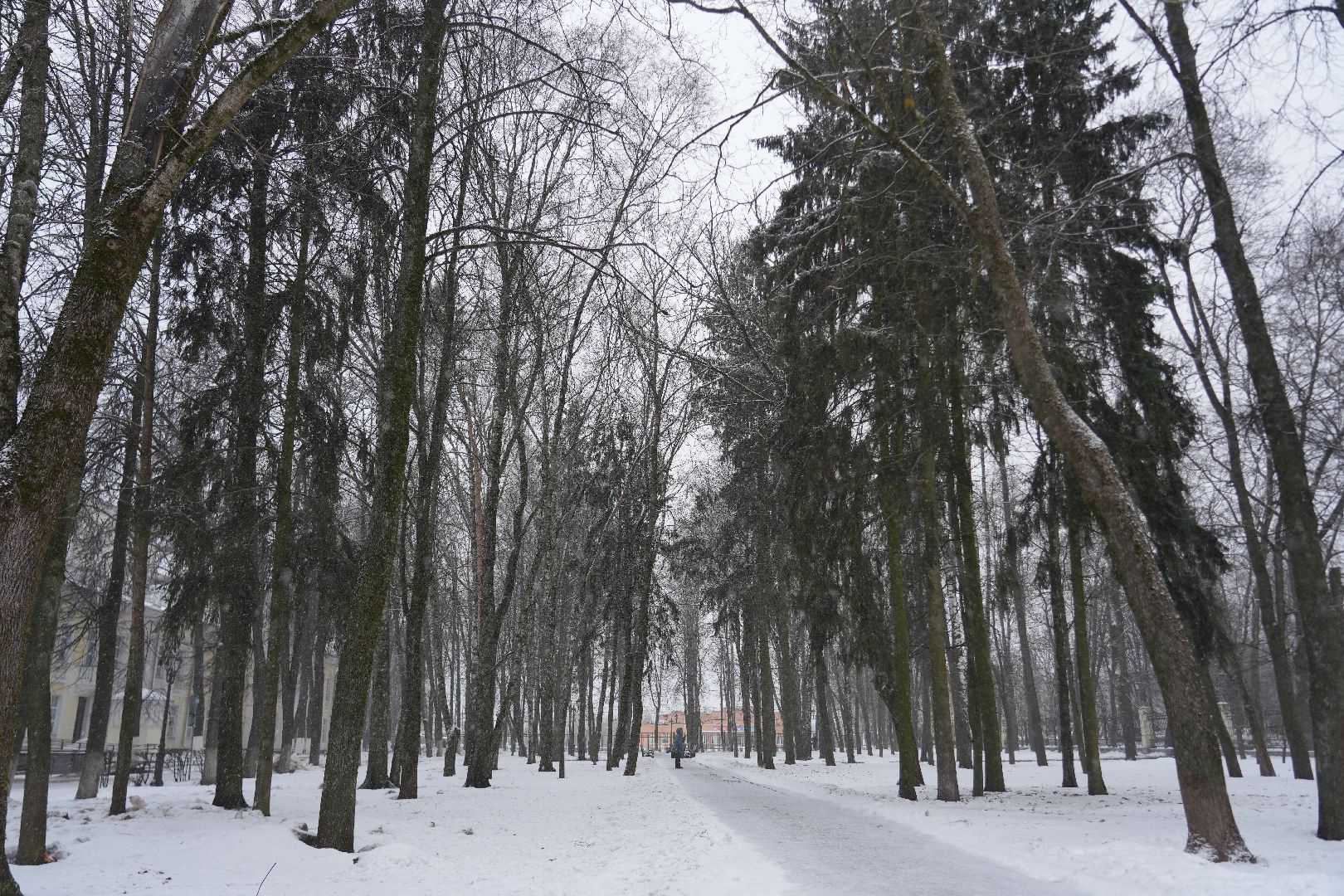 погода, крещение, сергиев посад, потепление, сергиево-посадский округ природа,