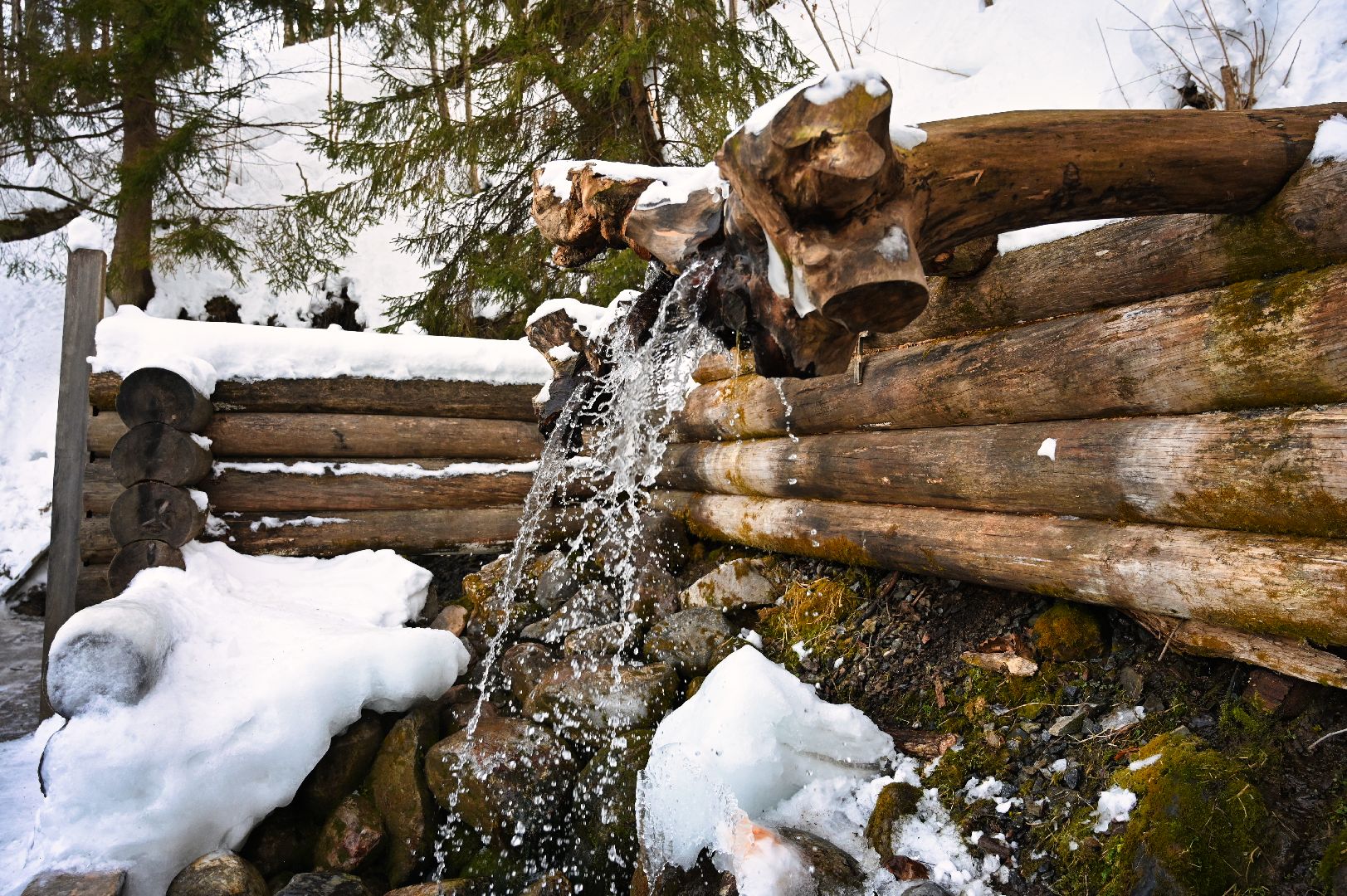 крещение, купели, крещенские купания, сергиев посад, сергиево-посадский городской округ, праздник, безопасность,