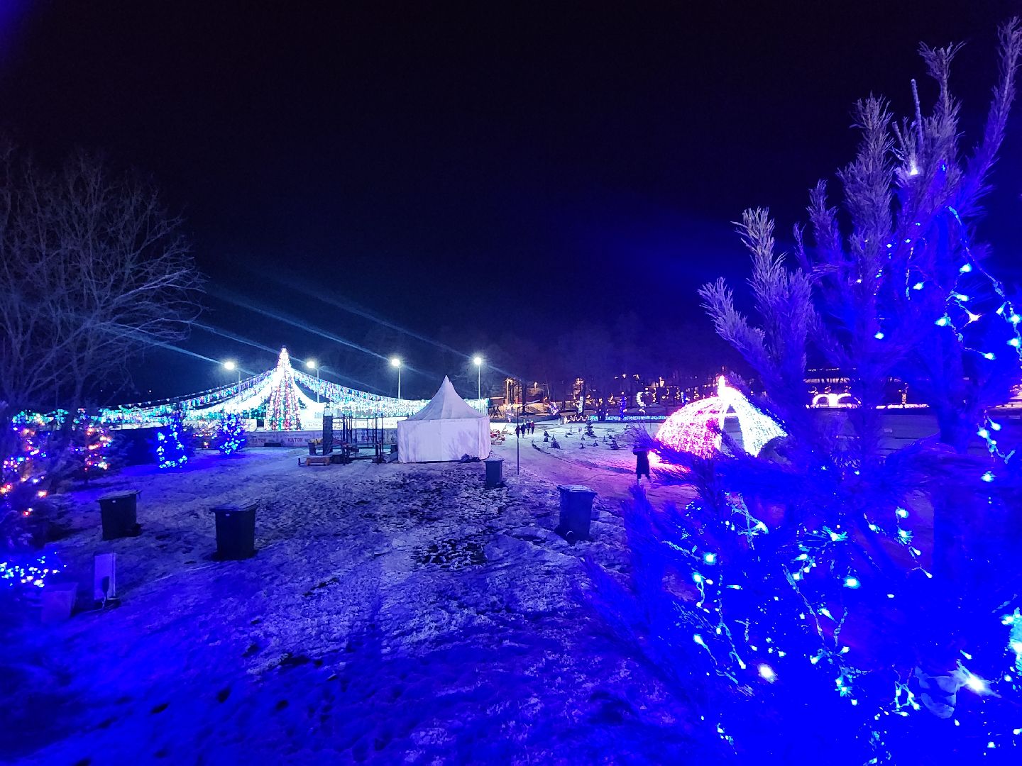 серпухов, подмосковье, сераксеево, фотосессия, семья, вертикалки,