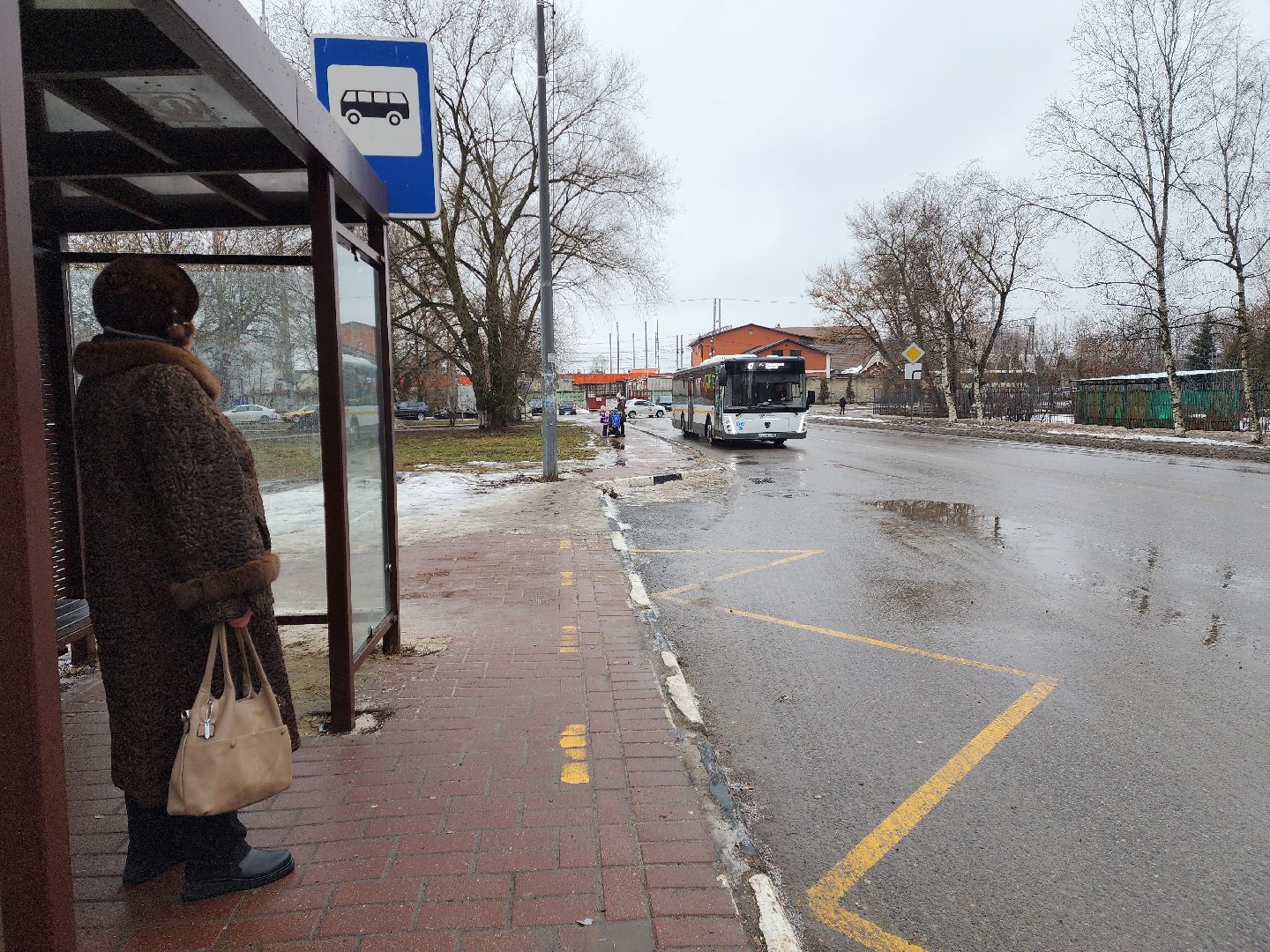 раменское, транспорт, новые автобусы, вертикалки,