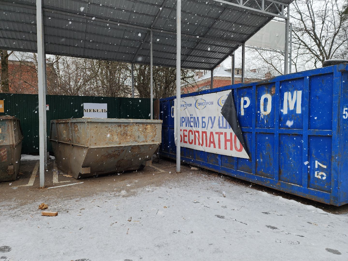 Черноголовка, экологическая акция, утилизация елей,