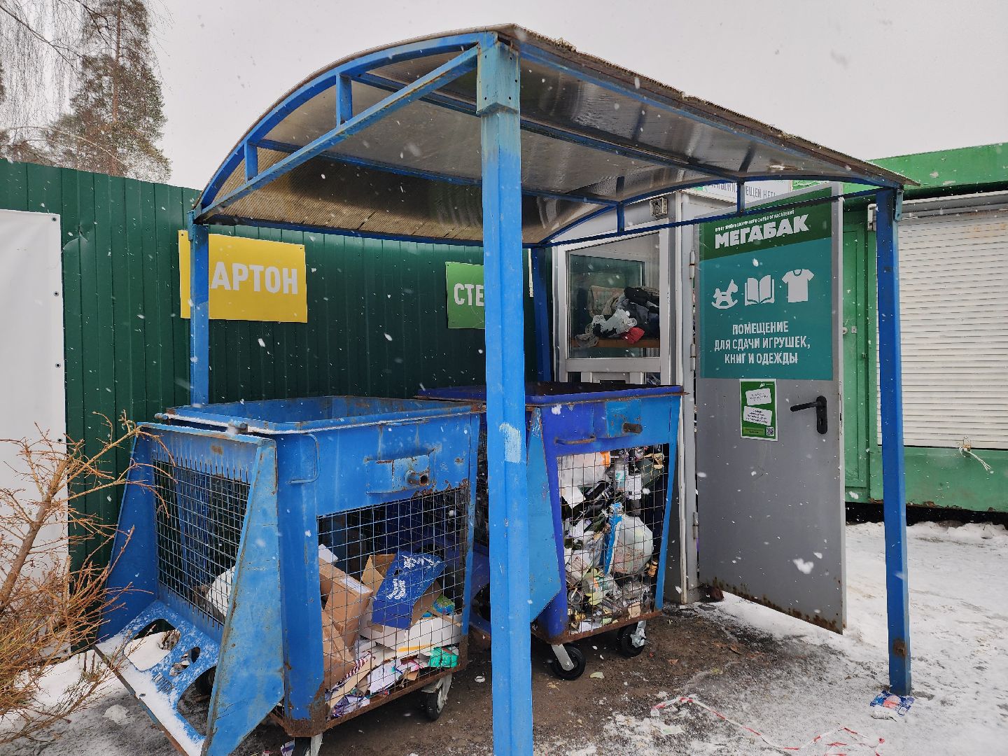 Черноголовка, экологическая акция, утилизация елей,