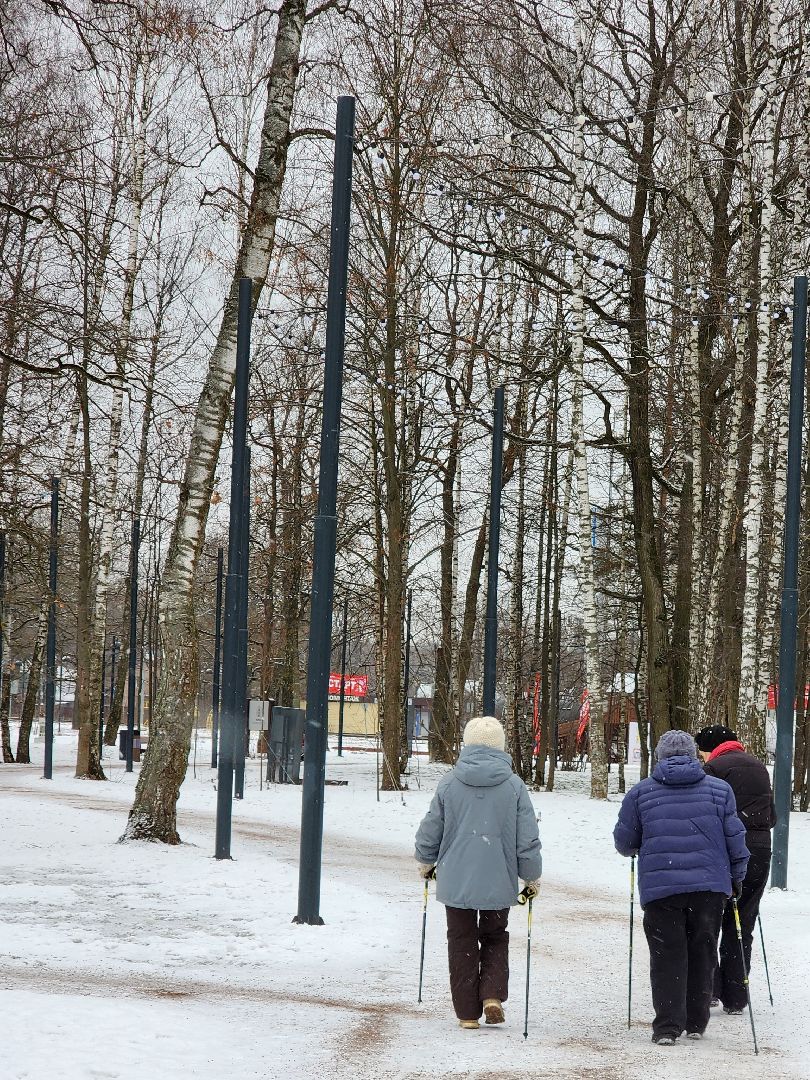 фрязино, активное долголетие, физическая активность, старшее поколение, здоровый образ жизни,