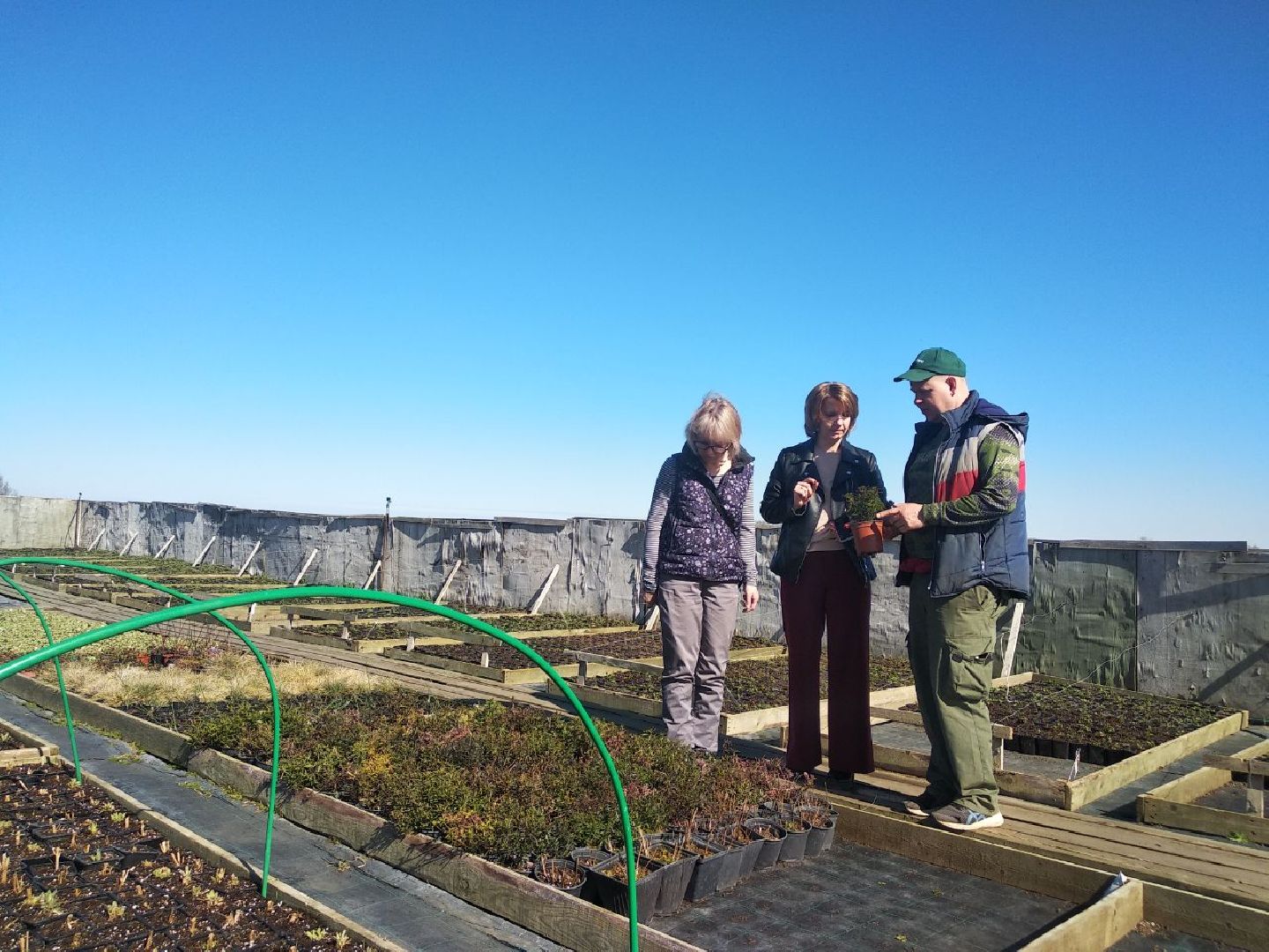 Дмитров, Питомник Фирсовых, Минсельхоз МО