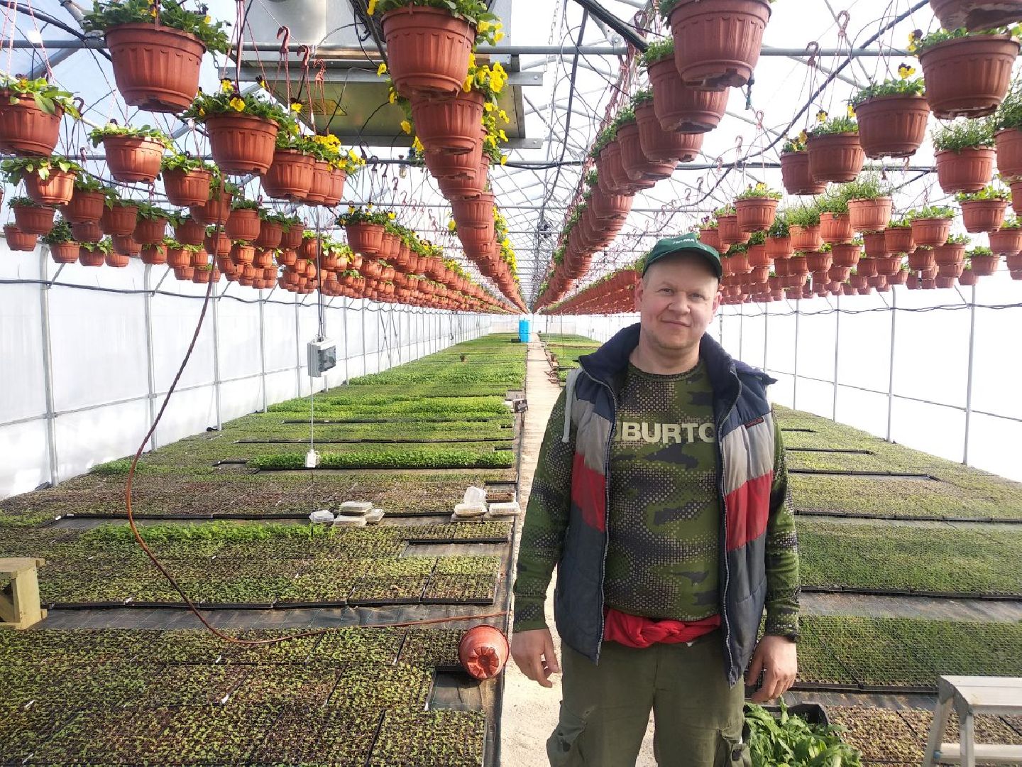 Дмитров, Питомник Фирсовых, Минсельхоз МО