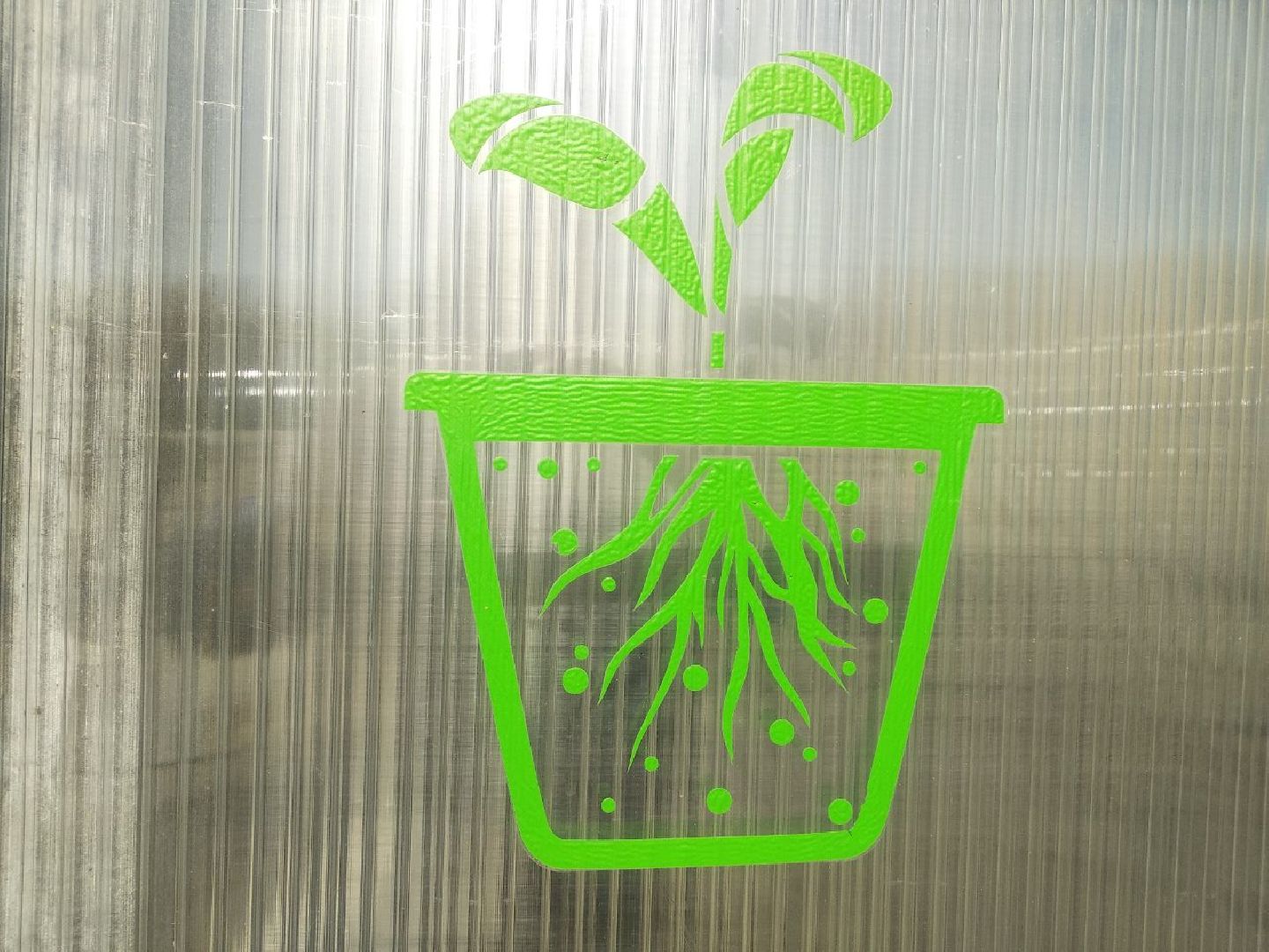 Дмитров, Питомник Фирсовых, Минсельхоз МО