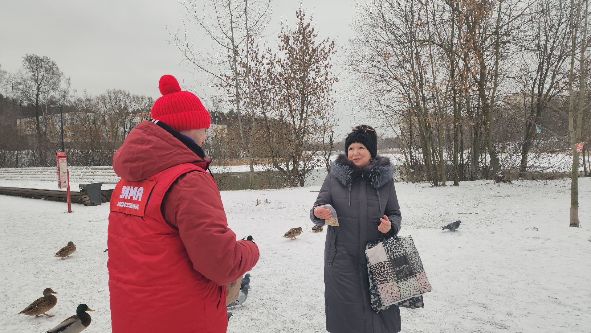 птицы, утки, голуби, зима, зима в парках, зима в подмосковье, покорми птиц, корм для птиц, покорми птиц зимой,
