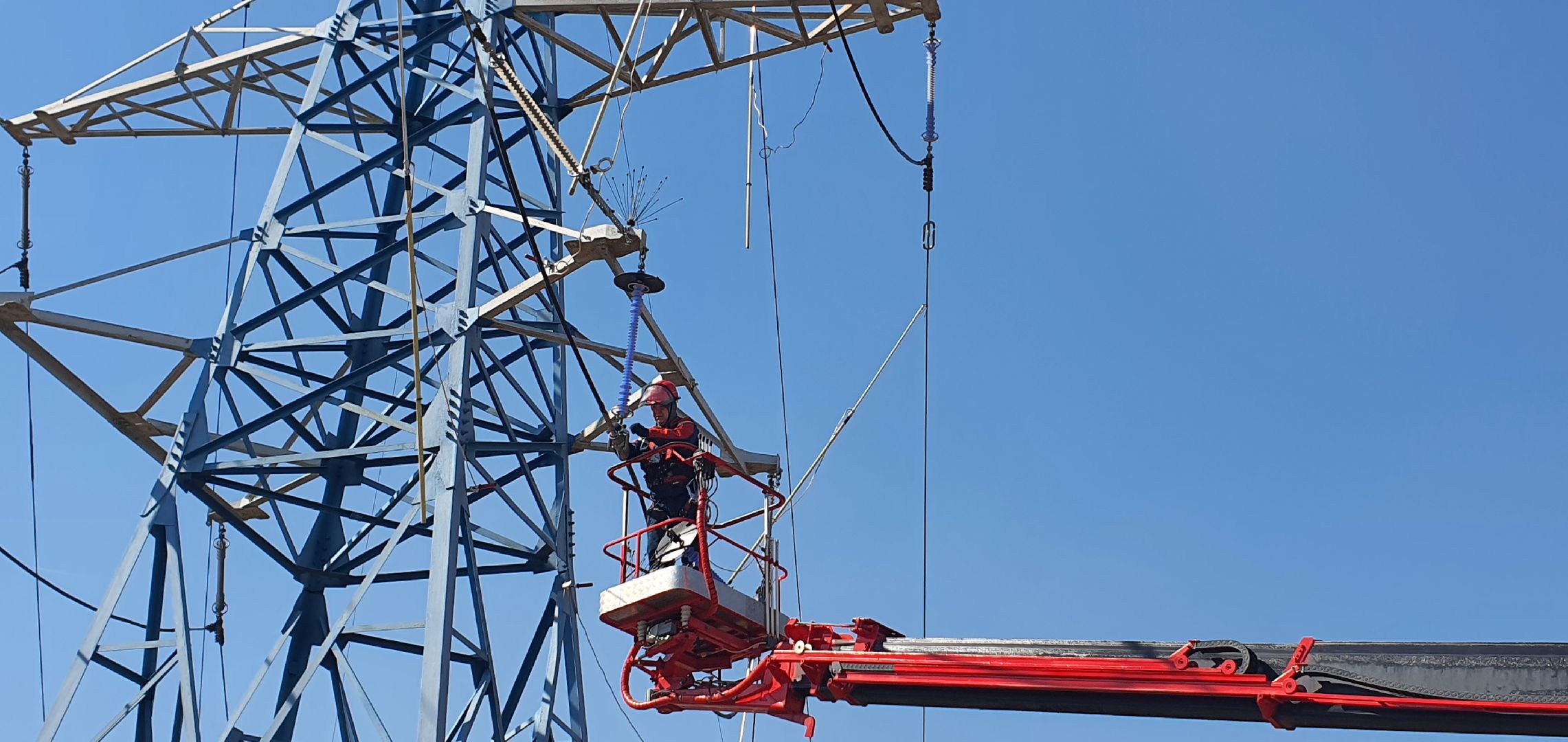 Энергетика Подмосковья, птицезащитные устройства, Россети Московский регион