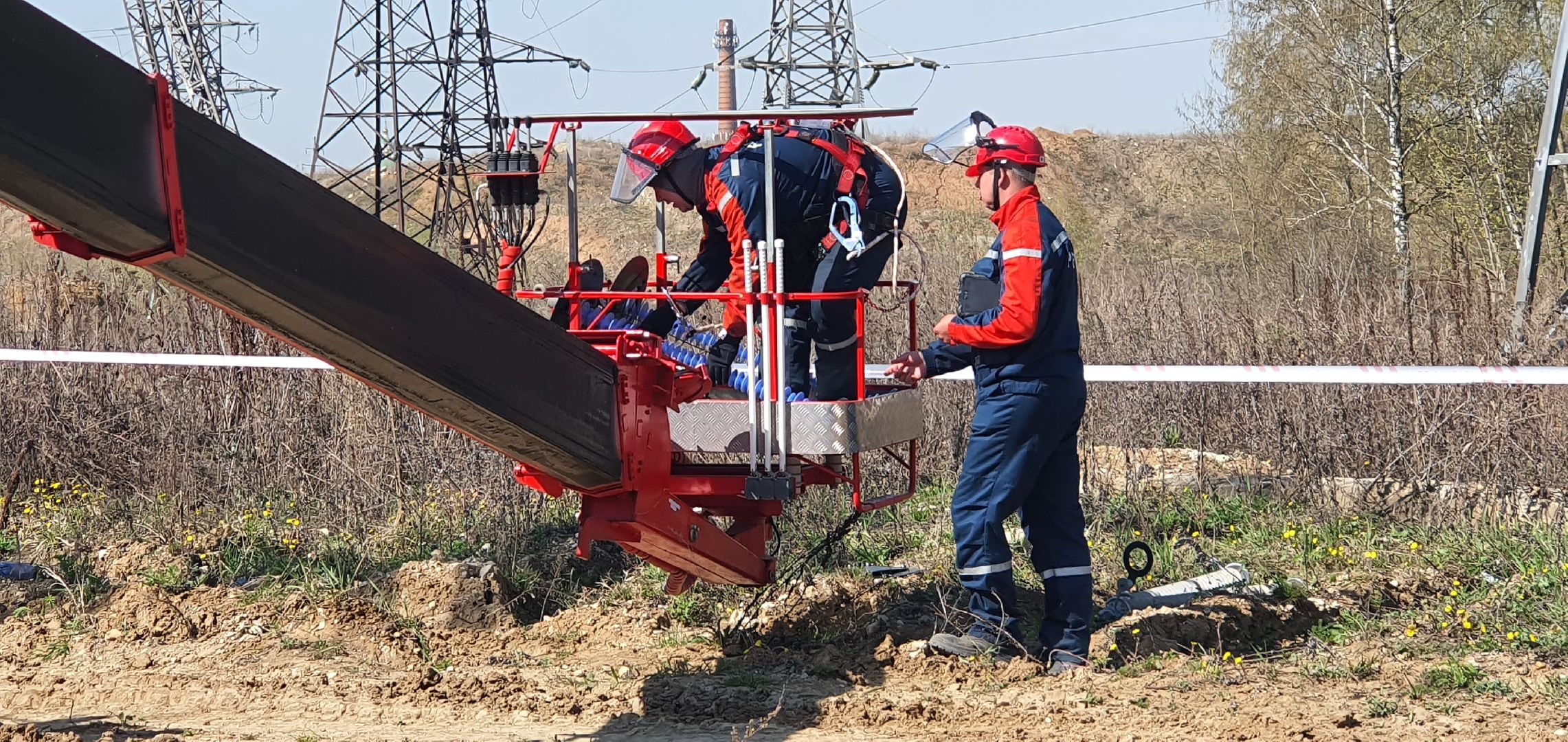 Энергетика Подмосковья, птицезащитные устройства, Россети Московский регион