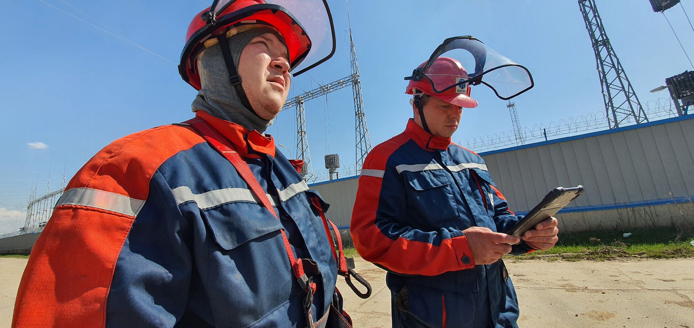 Энергетика Подмосковья, птицезащитные устройства, Россети Московский регион