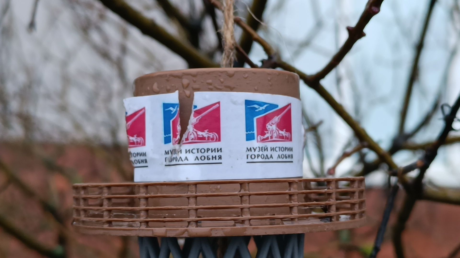 лобня, башня шухова, кормушка,