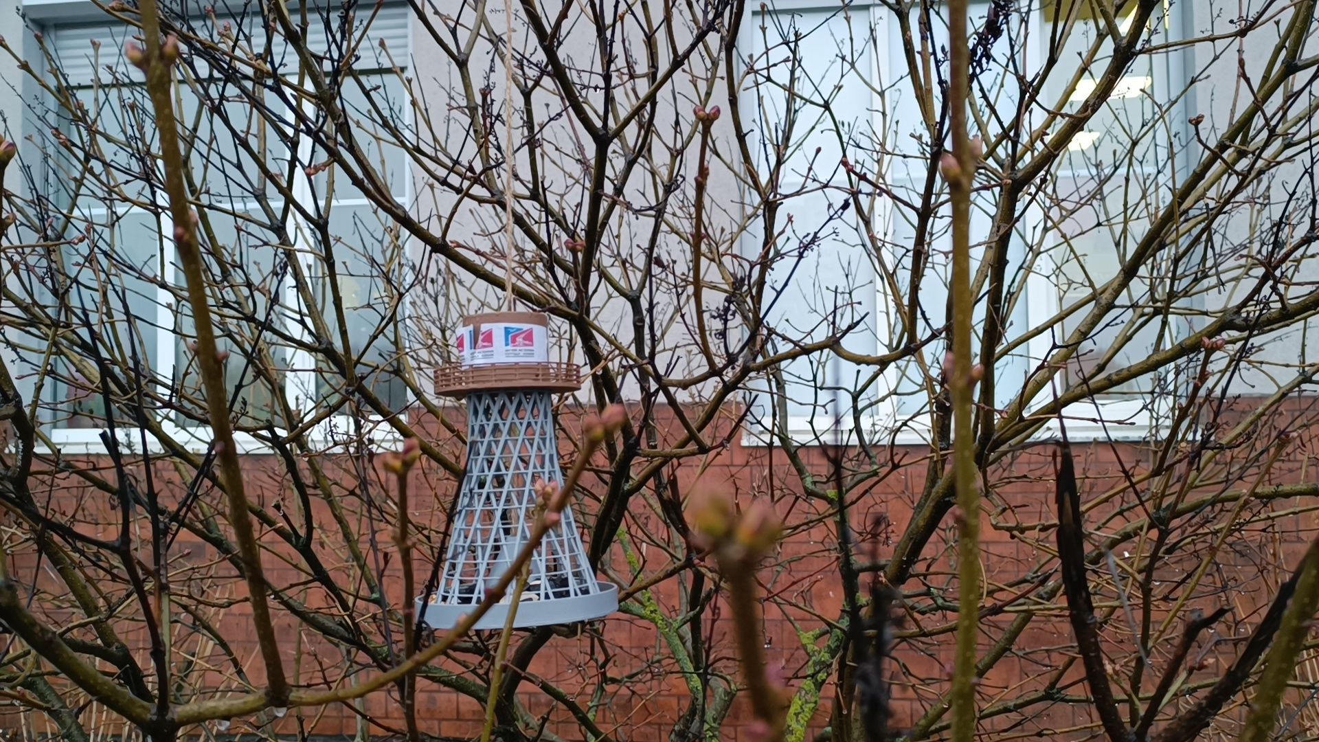 лобня, башня шухова, кормушка,