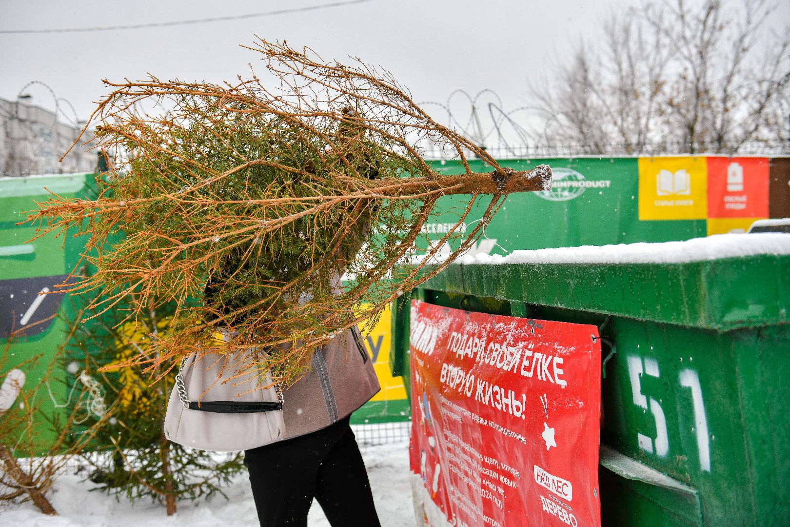 елка, переработка, щепа, эко, акция, вертикалки,