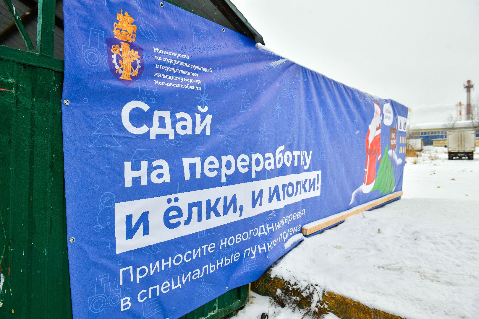 елка, переработка, щепа, эко, акция, вертикалки,