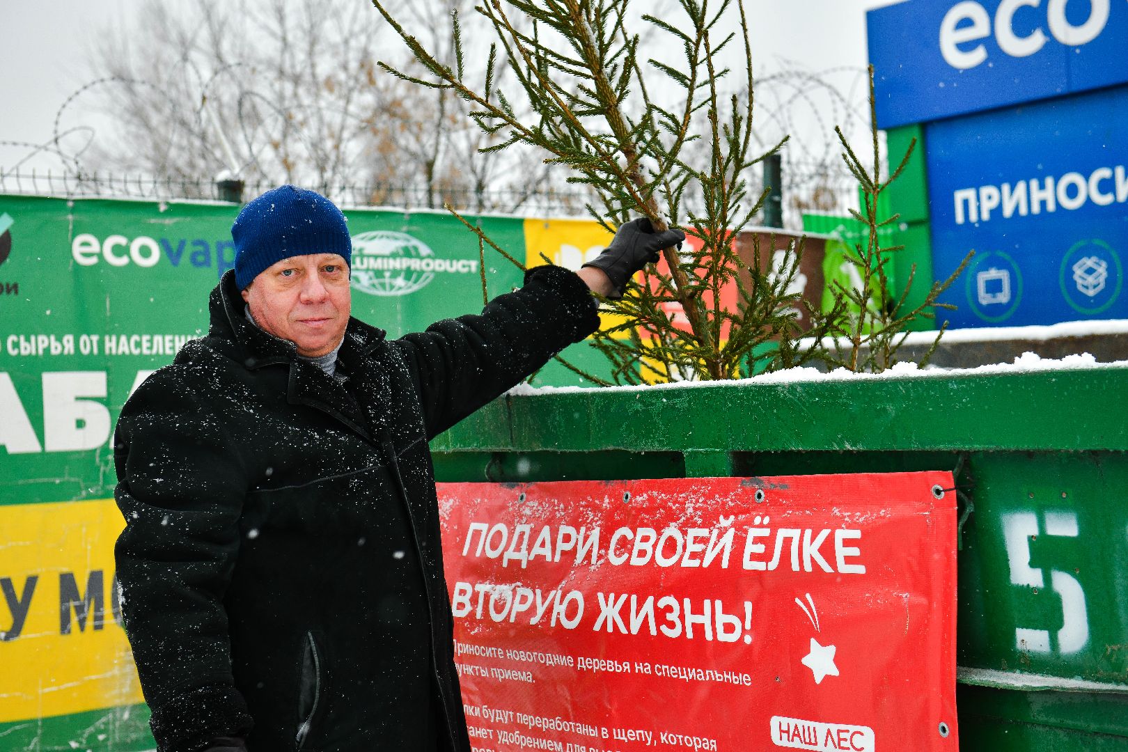 елка, переработка, щепа, эко, акция, вертикалки,