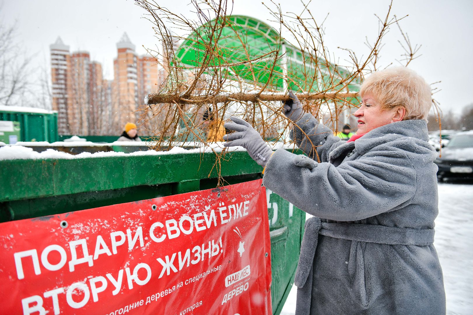 елка, переработка, щепа, эко, акция, вертикалки,