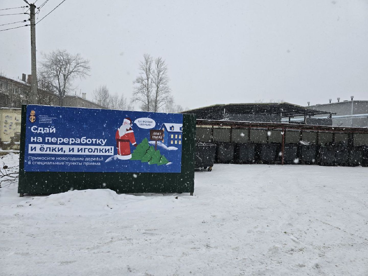 можайск, можайский городской округ, подмосковье, областная акция, Министерство по содержанию территорий и государственному жилищному надзору Московской области, Сдай на переработку и елки, и иголки», елки на переработку, переработка елей, хвойные деревья, новый год, вертикалки,