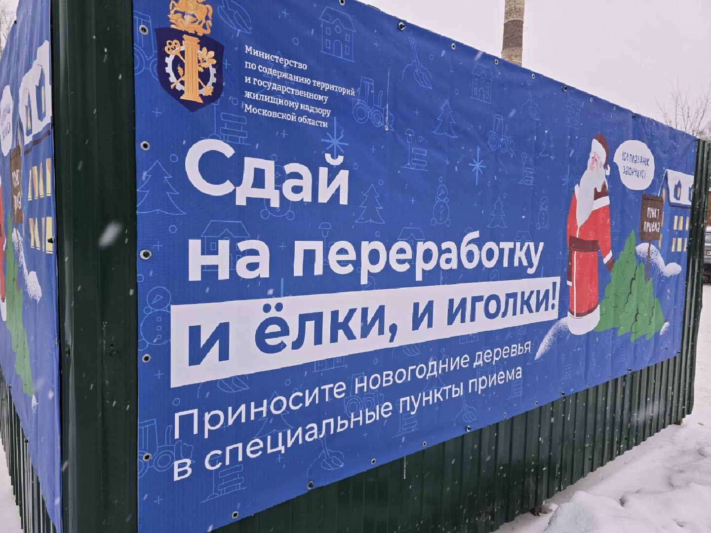 можайск, можайский городской округ, подмосковье, областная акция, Министерство по содержанию территорий и государственному жилищному надзору Московской области, Сдай на переработку и елки, и иголки», елки на переработку, переработка елей, хвойные деревья, новый год, вертикалки,