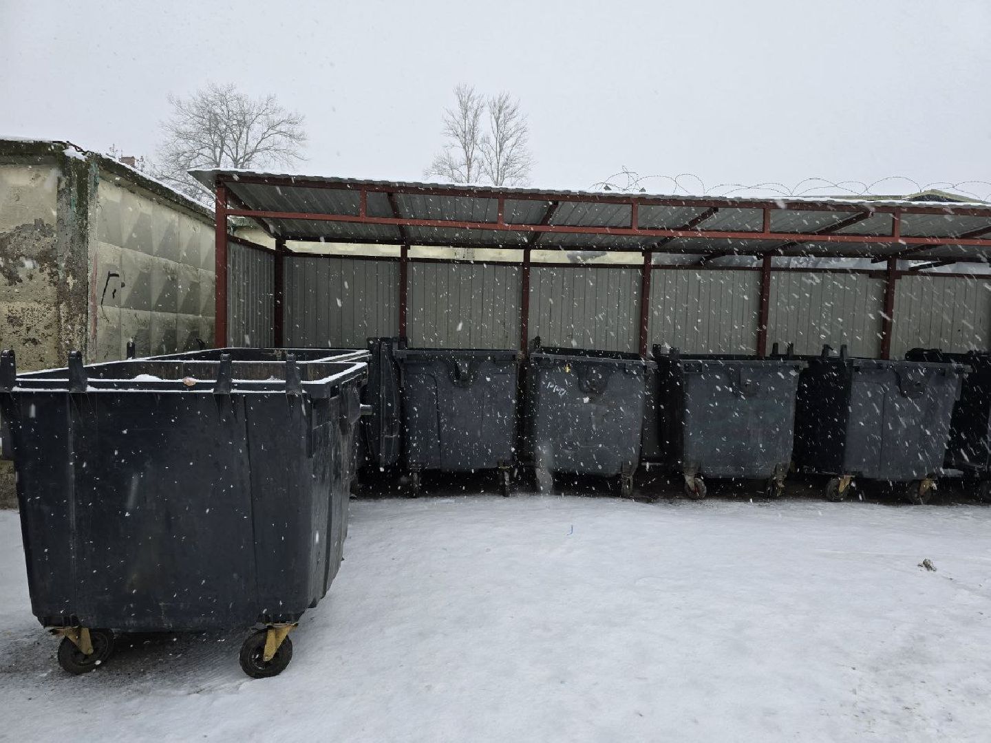 можайск, можайский городской округ, подмосковье, областная акция, Министерство по содержанию территорий и государственному жилищному надзору Московской области, Сдай на переработку и елки, и иголки», елки на переработку, переработка елей, хвойные деревья, новый год, вертикалки,