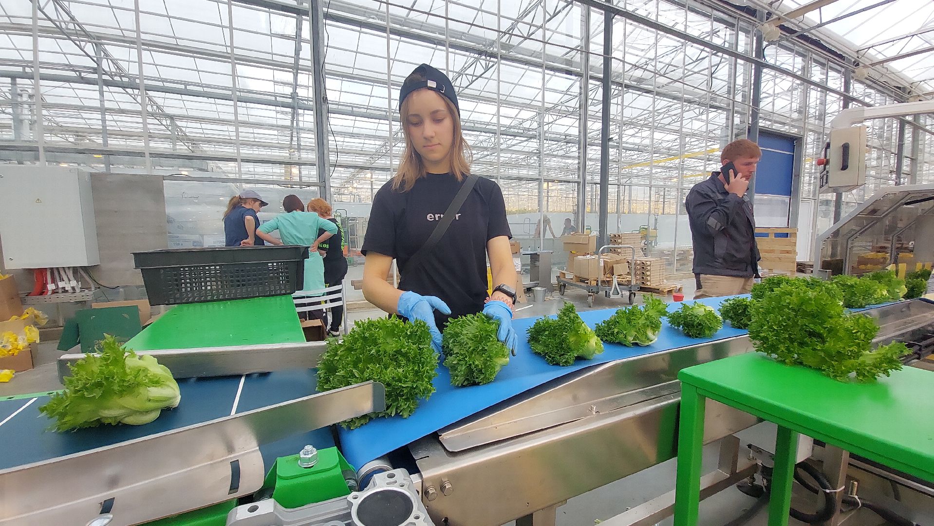 экономика, производство, Воскресенск