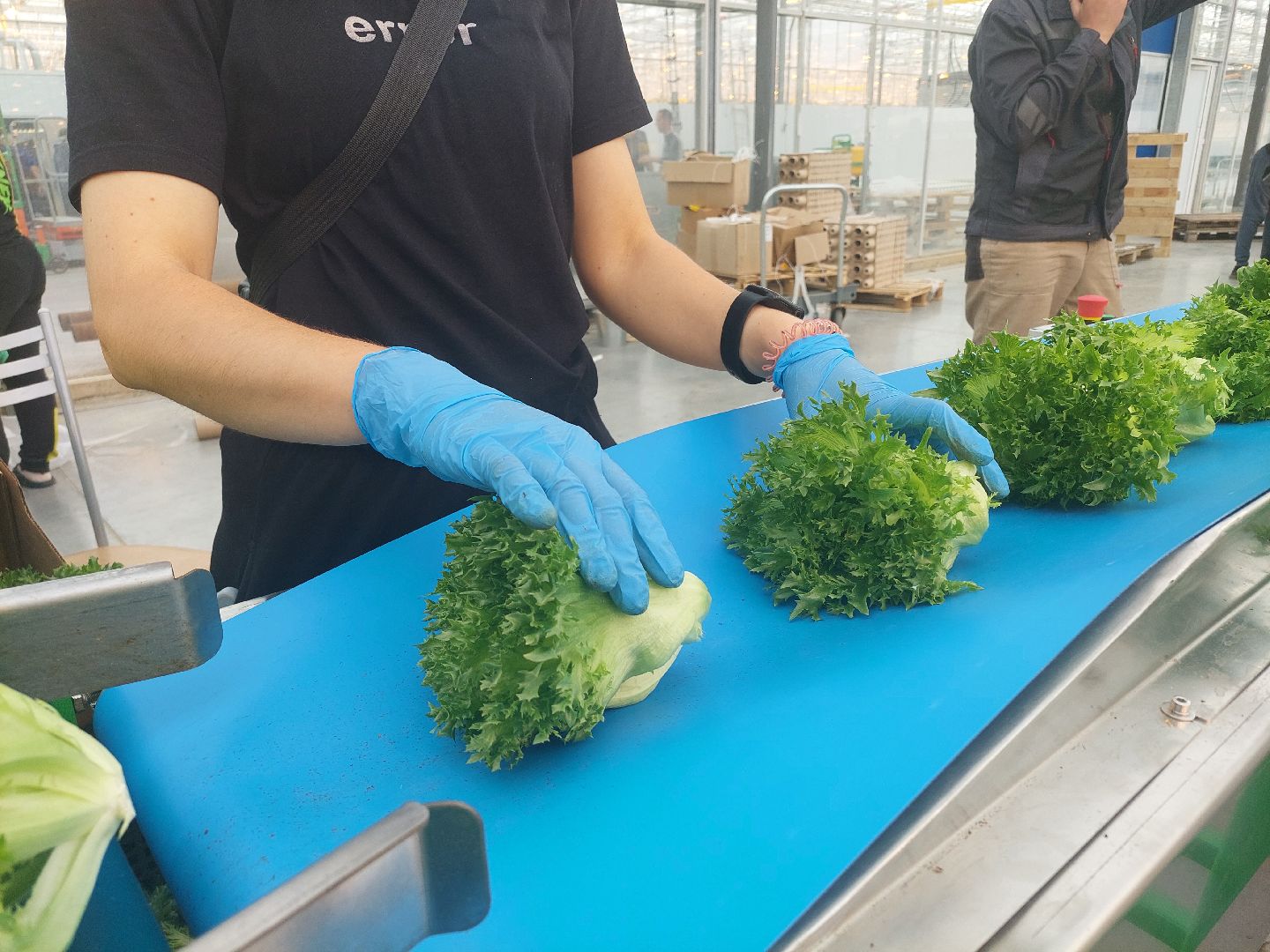 экономика, производство, Воскресенск