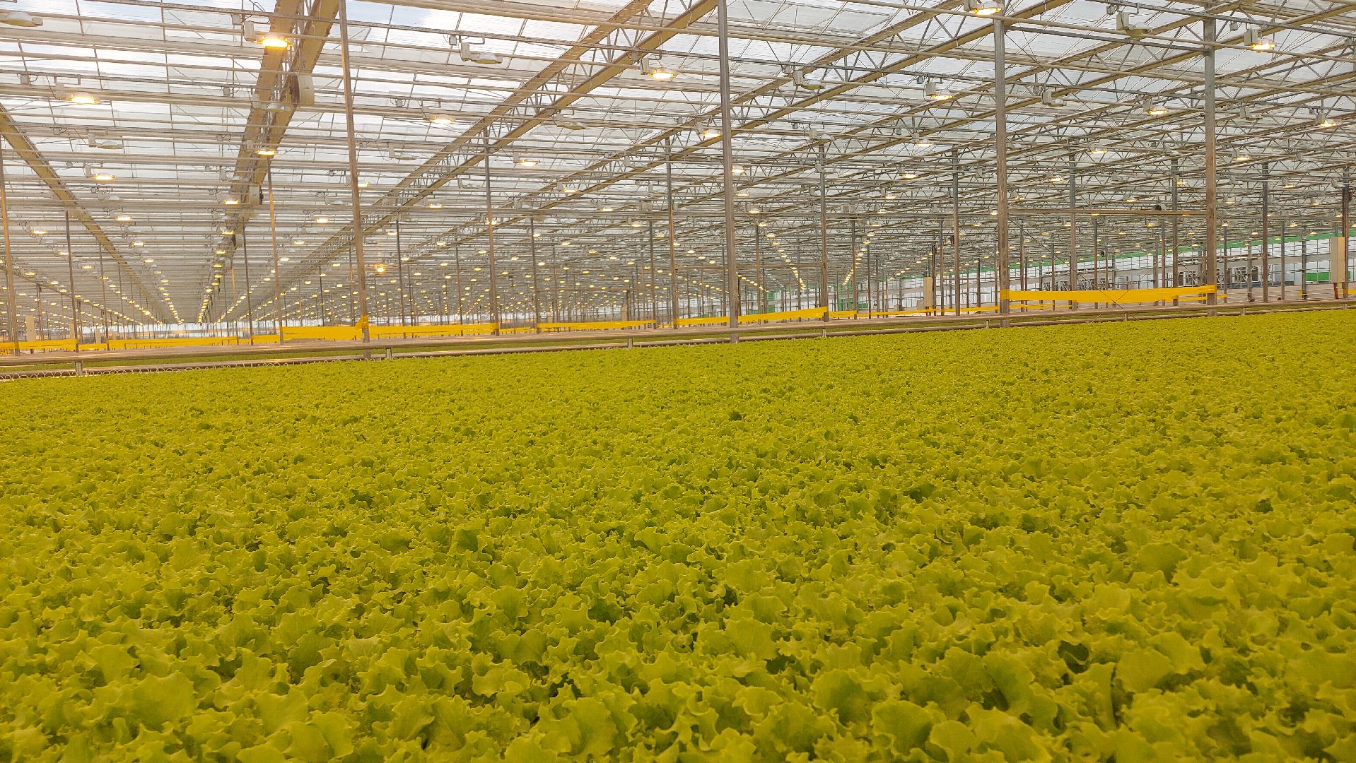 экономика, производство, Воскресенск