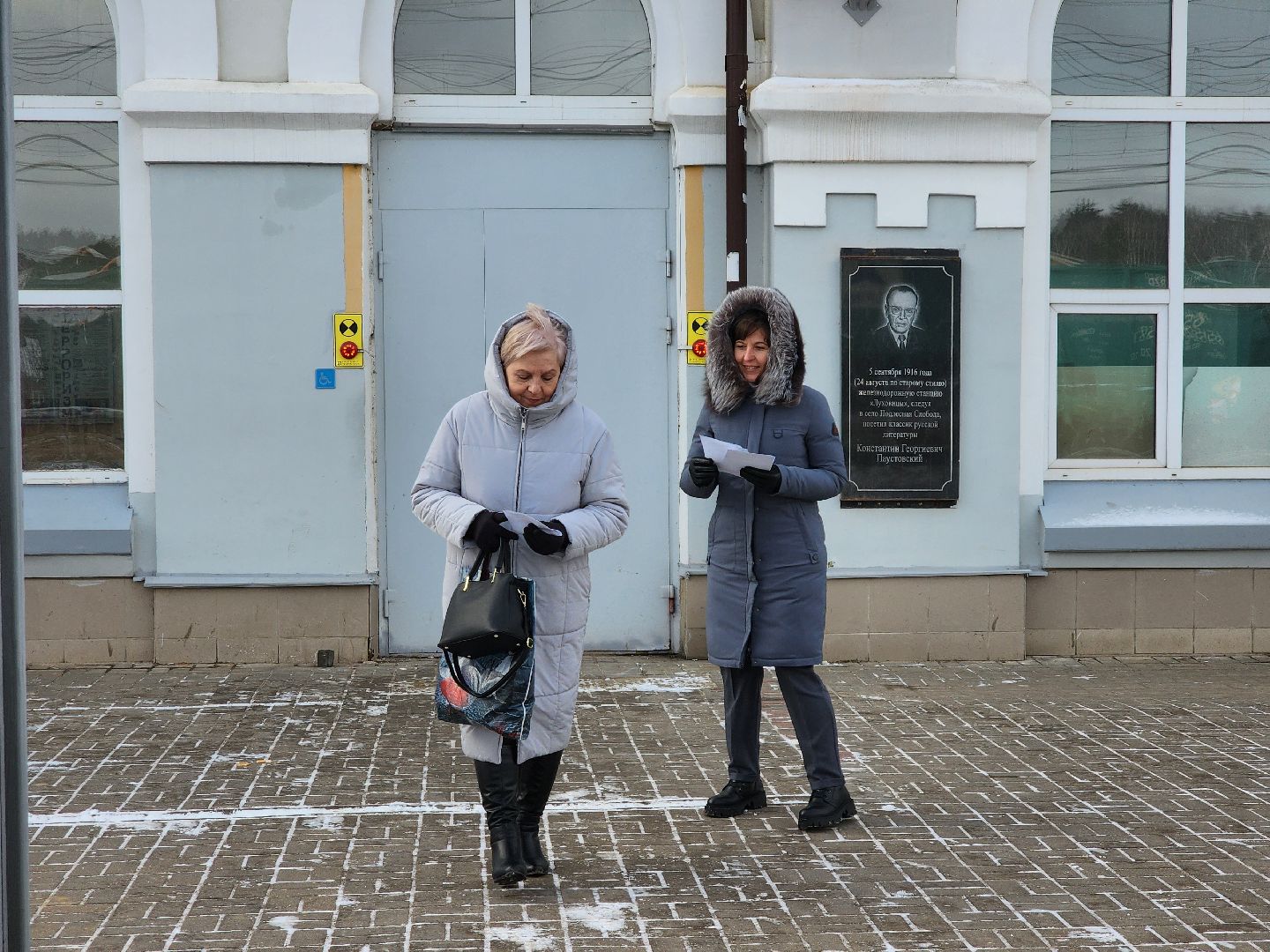 луховицы, безопасность, ржд, общество, вертикалки