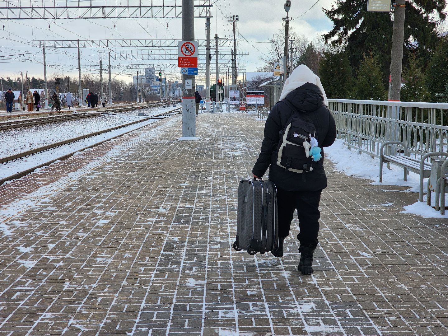 луховицы, безопасность, ржд, общество, вертикалки
