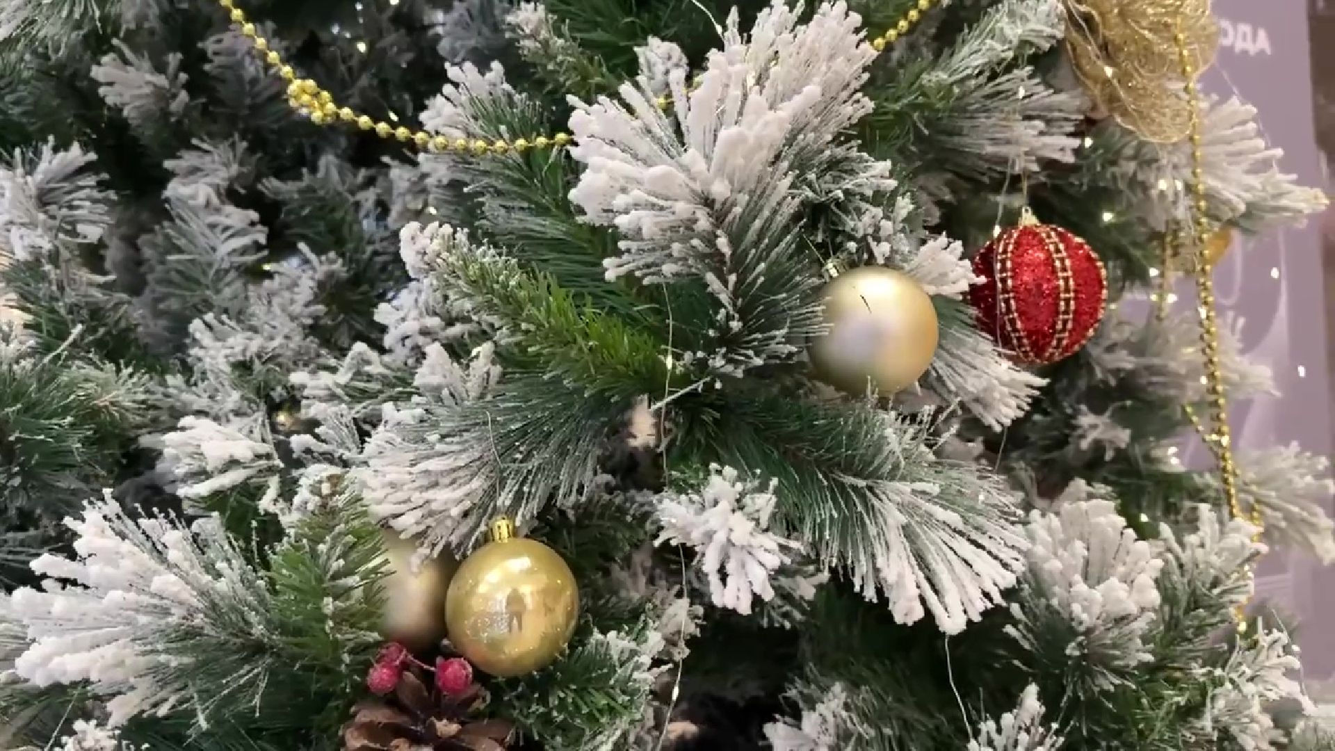 реутов, вертикалки, сертификат, покупка дома,