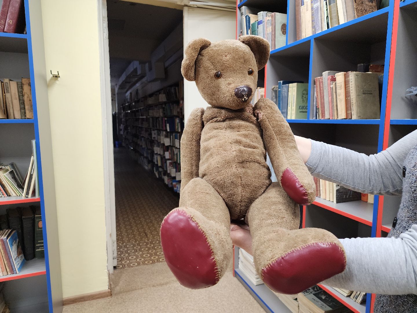 Дубна, Архив, Редкие издания, библиотека семейного чтения,