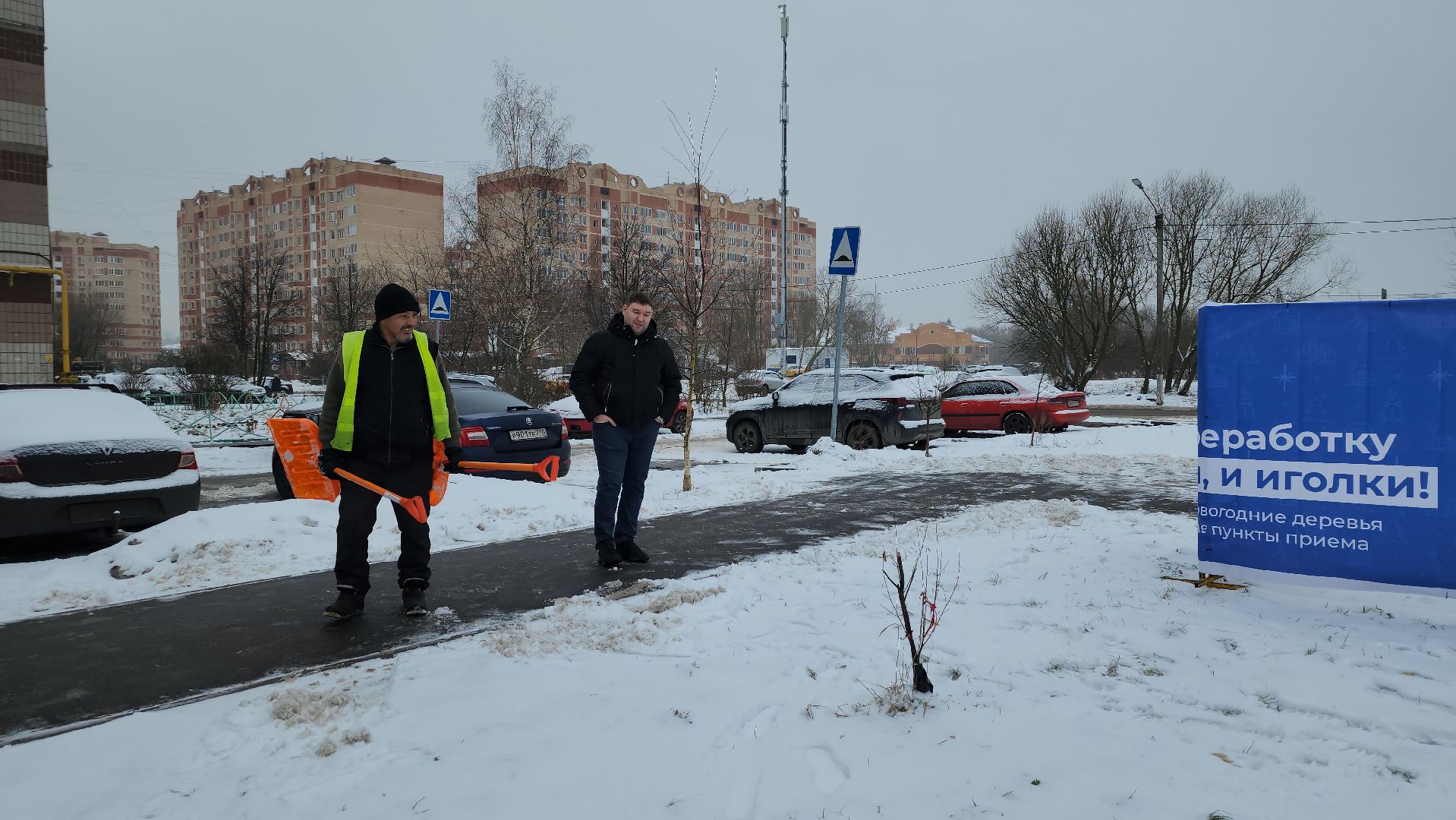 экологическая акция, Ногинск, Богородский городской округ, елки,