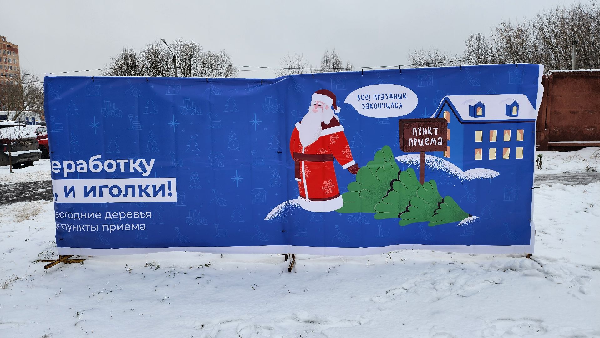 экологическая акция, Ногинск, Богородский городской округ, елки,