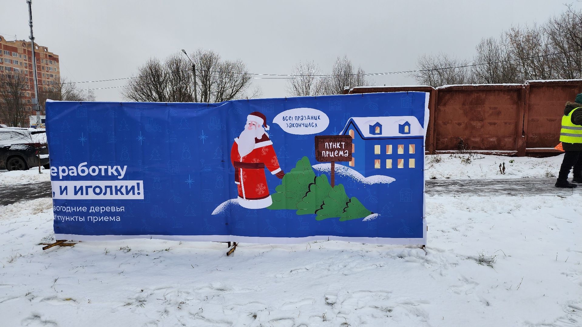 экологическая акция, Ногинск, Богородский городской округ, елки,